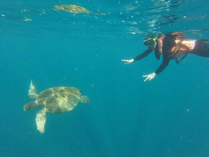 Sipadan Micro Dive Ξενοδοχείο Mabul Island Εξωτερικό φωτογραφία